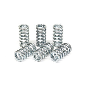 TRW clutch spring kit