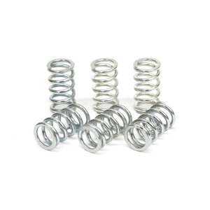 TRW clutch spring kit
