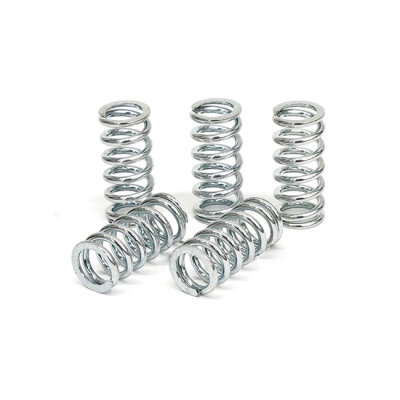 TRW clutch spring kit
