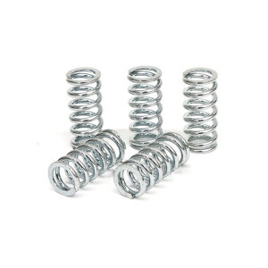 TRW clutch spring kit