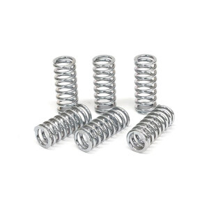 TRW clutch spring kit