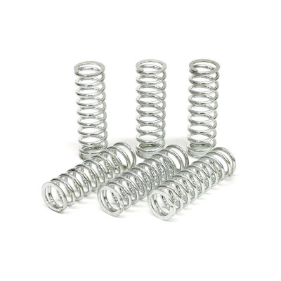 TRW clutch spring kit