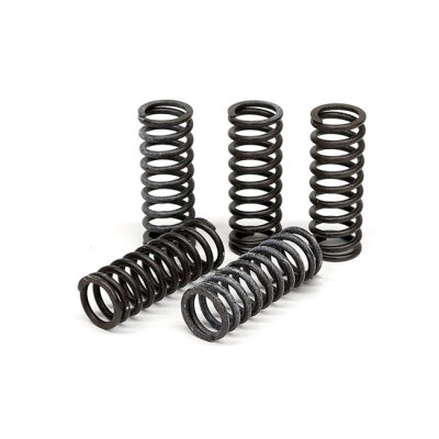 TRW clutch spring kit