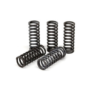 TRW clutch spring kit