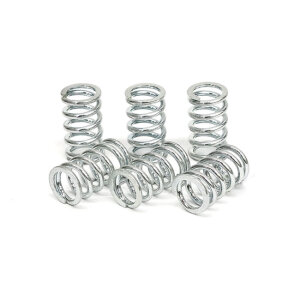 TRW clutch spring kit