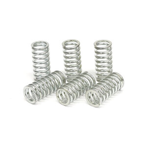 TRW clutch spring kit