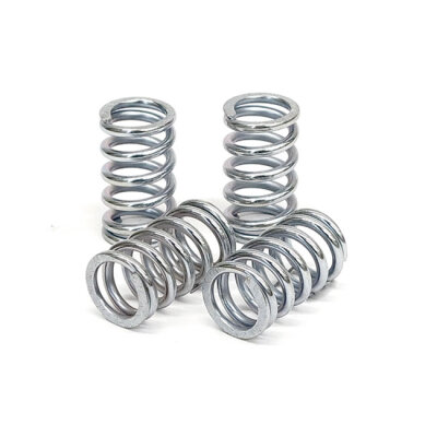 TRW clutch spring kit