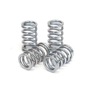 TRW clutch spring kit