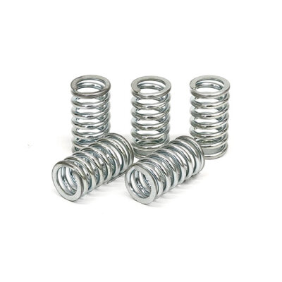 TRW clutch spring kit