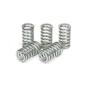 TRW clutch spring kit