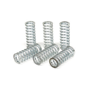 TRW clutch spring kit