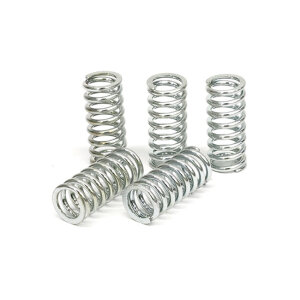 TRW clutch spring kit
