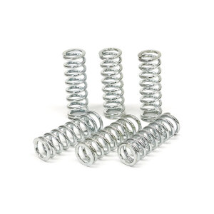 TRW clutch spring kit