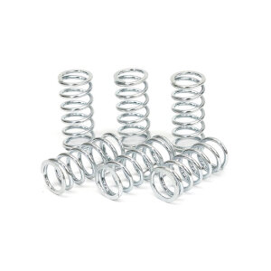 TRW clutch spring kit