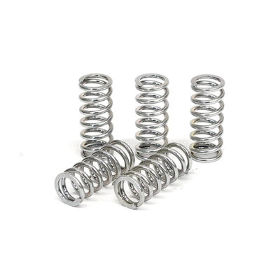 TRW clutch spring kit