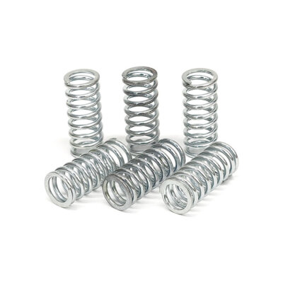 TRW clutch spring kit