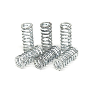TRW clutch spring kit