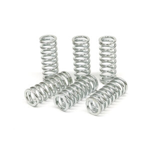 TRW clutch spring kit