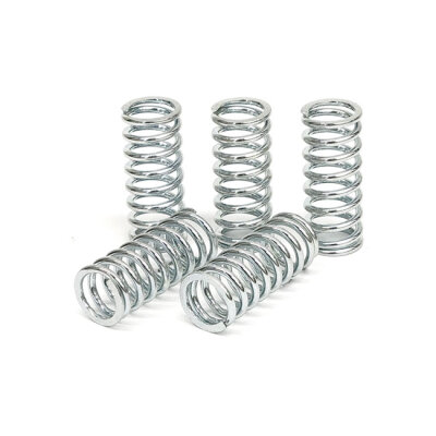 TRW clutch spring kit