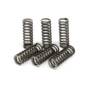 TRW clutch spring kit