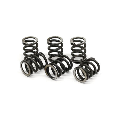TRW clutch spring kit