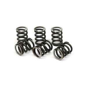 TRW clutch spring kit