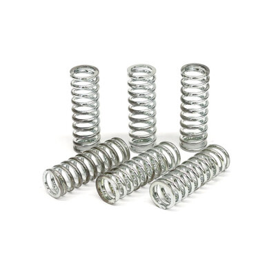 TRW clutch spring kit