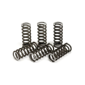 TRW clutch spring kit
