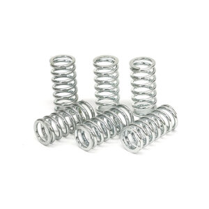TRW clutch spring kit