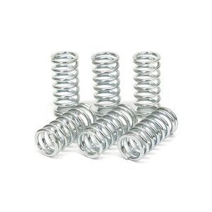 TRW clutch spring kit