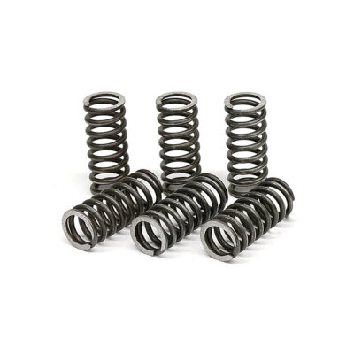 TRW clutch spring kit