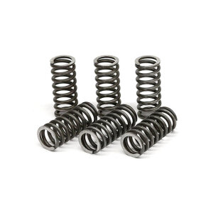 TRW clutch spring kit