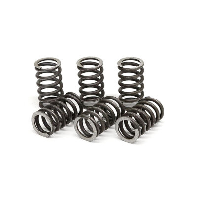TRW clutch spring kit