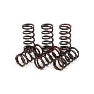 TRW clutch spring kit