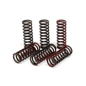 TRW clutch spring kit