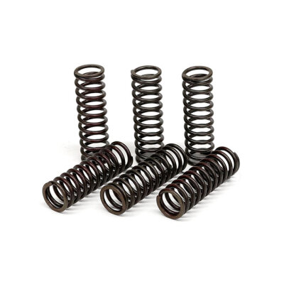 TRW clutch spring kit