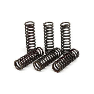TRW clutch spring kit