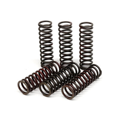 TRW clutch spring kit