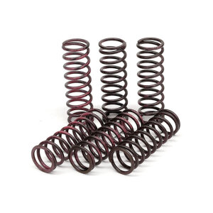 TRW clutch spring kit