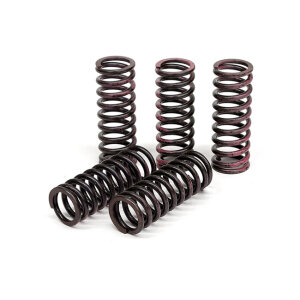 TRW clutch spring kit