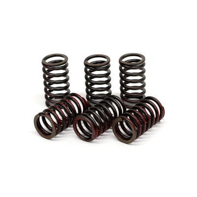 TRW clutch spring kit