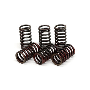 TRW clutch spring kit