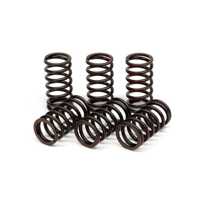 TRW clutch spring kit
