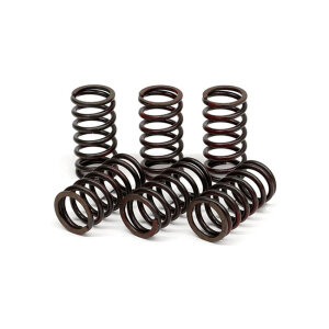 TRW clutch spring kit