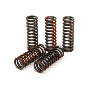 TRW clutch spring kit