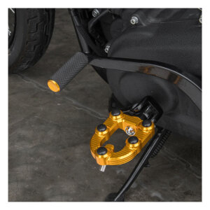 Arlen Ness, MX foot pegs. Gold