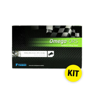 JT/Tsubaki sprocket and chain kit