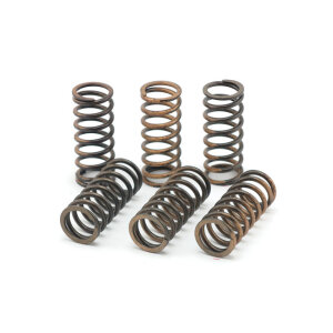 TRW clutch spring kit