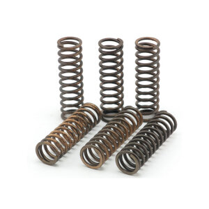 TRW clutch spring kit
