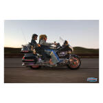 Kuryakyn, Windshield trim with turn signal accents, chrome